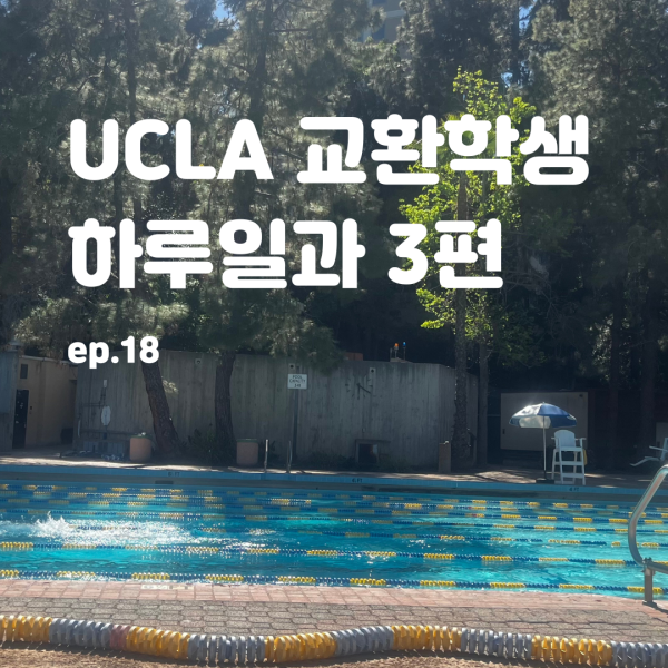 [ 18ȭ. UCLA ȯл Ϸϰ 3]